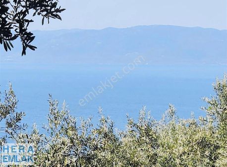 Kelepir Konut Villa İmarli Arsa Dilediğiniz Evi Yap Projeli