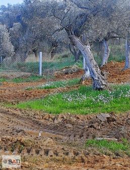 Torbalı Batı Gayrimenkul Den Satılık Tarla
