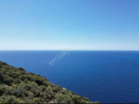 🌿 Kalkan Adatepe Mevkii’nde 1400 M² 2b Statülü Zeytinlik Tarla – Meis Adası Manzaralı 🌊