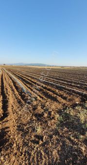 Erkuş Gyodan Acıpayam Akalan Araç Takasli Fırsat Arazi