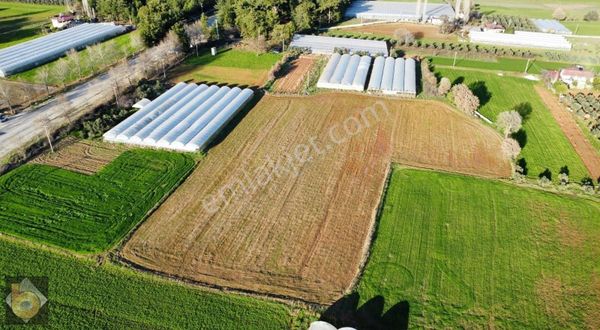 Seydikemer Eşen De Satılık 15 Dönüm Kelepir Tarla