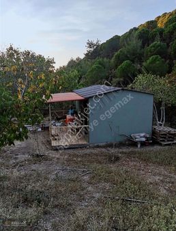 Burhaniye Organik Kırtık Köyünde Doğanın Kalbinde Satılık Tarla