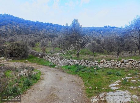 Burhaniye Hisar Mah. 29.389 M2 Fırsat Zeyinlik
