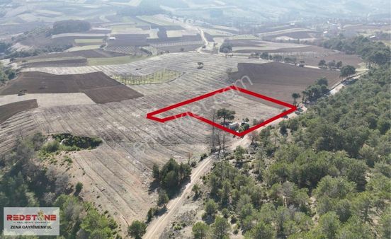 Sakarya Geyve'de Bağ Evi İle Birlikte 4681 M2 Arazi