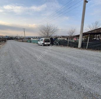 Anayola Çok Yakın 0.20 Emsal 930 M2 Tek Tapu Arsa