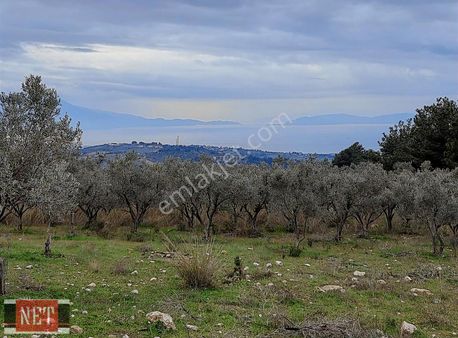 Tek Tapu,çok Uygun Fiyatlı,3 Cephe Yol...