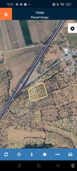 Bozköy'de Satılık Zeytinlik