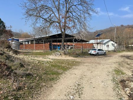 Al-ya Gayrimenkul Den Satılık Çiftlik