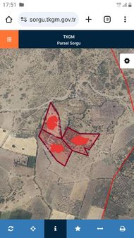 Bergama Göçbeyli Köyünde Uygun Zeytinli Tarla