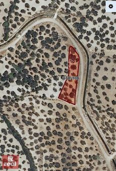 Gazikemalpaşa'da 1587m2 Yol Kenarı Zeytinlik