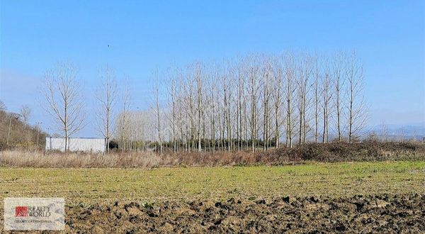 Ferìzlì Ağacık Mh. *bölgede En Düştük Fiyata* Anayola Çok Yakın