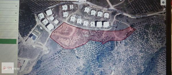 Bursa ,,gemlik ,,umurbey