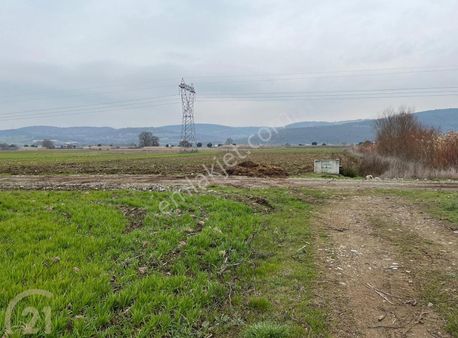 C21 Loca'dan Gökçeyazı Ortamahalle De 2811m2 Köşe Parsel