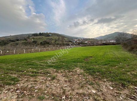 C21 Loca'dan Ataköy De Köy İçinde 3476 M2 Tarla