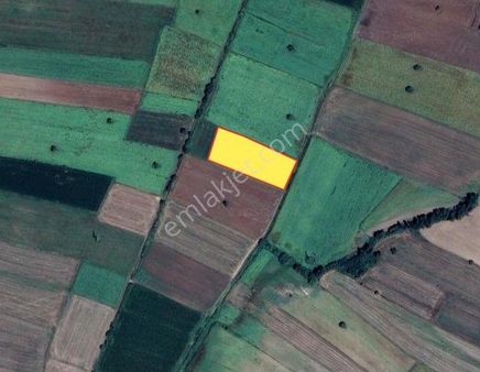 Kırklareli Ürünlü Köyü Satılık Tarla 6.500 M2 Tarla