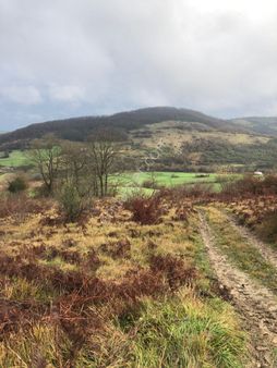 Kandıra Çalyer'de 6.187,12 M2 Satılık Arsa %5 İmarlı