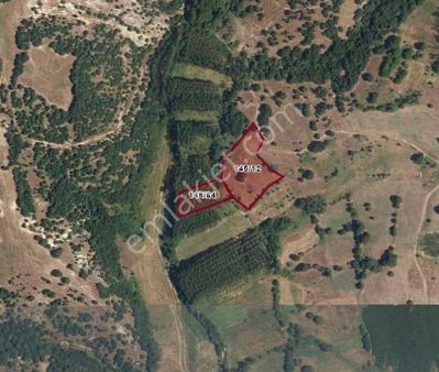 Kırklareli Merkez Armağan Köyü Değirmen Üstü Satılık Tarla