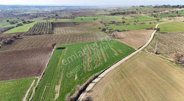 Çanakkale İntepe Satılık Tarla