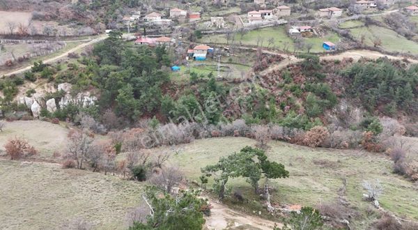 Çanakkale Bayramiç İlçesi Kaykılar Köyünde Satılık Arazi
