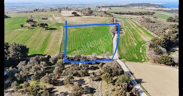 Çanakkale Merkez İntepe Köyü Satılık Tarla