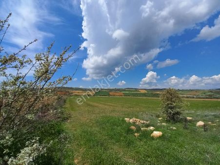 Karaburun Salman Köy İçi Tek Tapulu Tarla