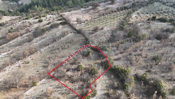 Muğla Menteşe Denizova Yolu Olan Manzaralı 875 M2 Satılık