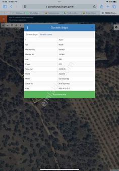 Yolcu Gayrimenkul’dan Satılık Zeytinlik