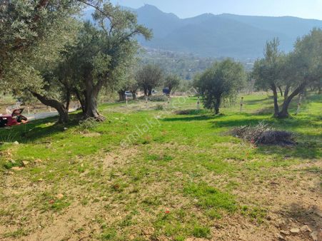 Kemalpaşanın Gökyaka Mahallesinde Satılık 650 Metrekare Bahçe