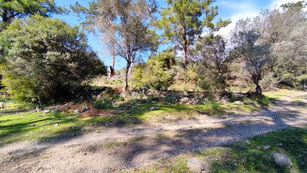 Dalyan Gökbelde Satılık Toplam 1329 M2 (gba20)