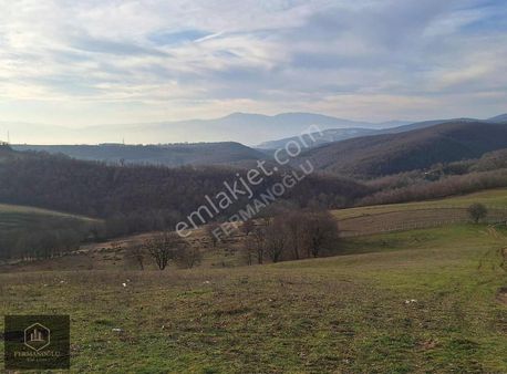 Satılık 6350 M2 Milli Emlak Hisseli Arazi Açıklamayı Okuyunuz.