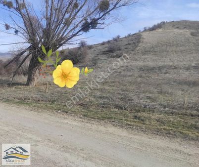 Kahramankazan Alpağut Mahallesi Müstakil Arsa