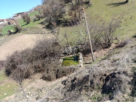 Manisa Selendi Havaoğlunda Satılık Tarlalar