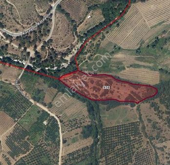 Bayramiç Evciler'de Satılık Tarla