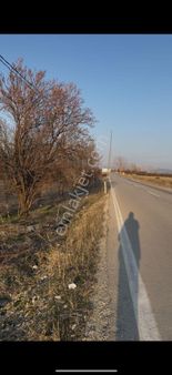 Acill Kaçmayacak Fırsat ...