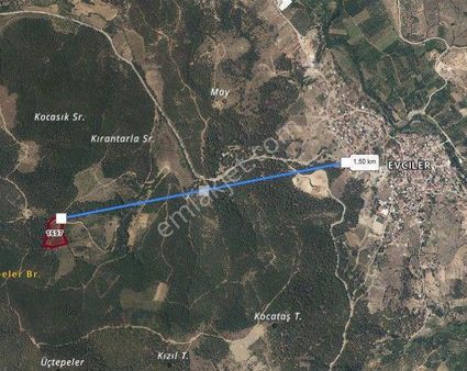 Bayramiç Evciler'de Satılık 11500 M.kare Tarla