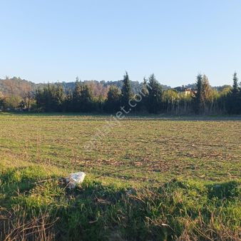 Altın Emlak Ortaca I Ortaca Akıncı Mh 508 M2 İmarlı Arsa