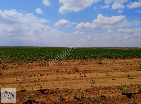 Ergene-sağlık'da Satılık 14700 M² Lojistik Alanına Yakın Tarla