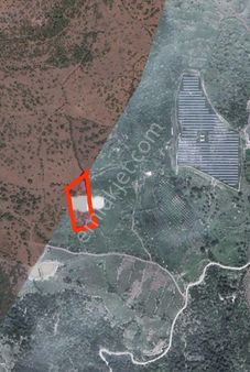 Menemen Görece'de 7 Dönüm Satılık Tarla