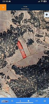 Hızlı Gelişen Motor Parasına Tapun Olsun