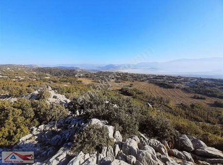 Yatırımlık Değer Kazanacak Yarışlı Köyünde Yolu Açık