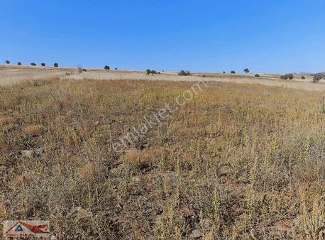 Karamanlı Dereköy De Yolu Açık Ana Yola Yakın Yatırımlık Kaçmaz