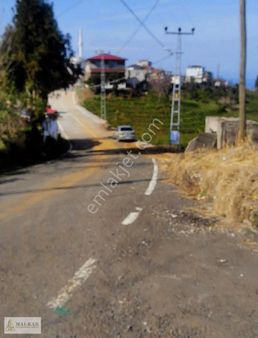 İyidere Fıçıtaşı Deniz Manzaralı Satılık Arsa 3.600 M2