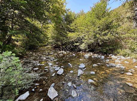 Kazdağı Eteği Akarsu Kenarında Asfalta Yakın Satılık 5750m2tarla