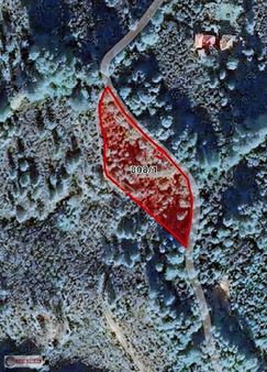 Perşembe Mersin Köyünde 3.078 M2 Satılık Fındık Bahçesi