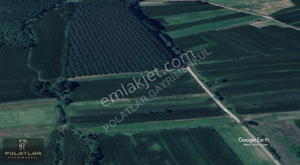 Sakarya Acıelmalık'ta 850 M2 Fırsat Hobi Bahçesi