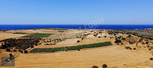 Türkiye'nin En Büyük Adasında Sizin De Yeriniz Olsun