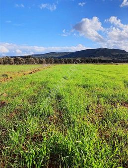 Bodrum Sazköy'de Satılık Tarla