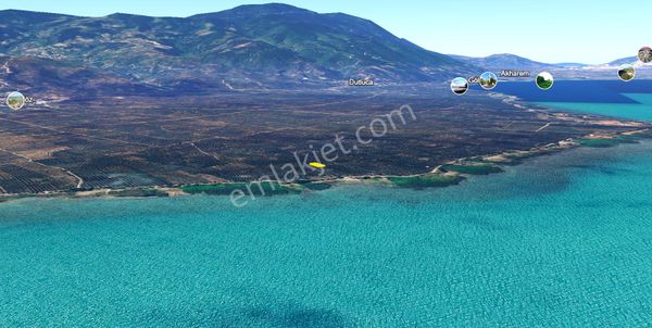 C21 Cius; Orhangazi Sölöz 560m2 Satılık Zeytinlik