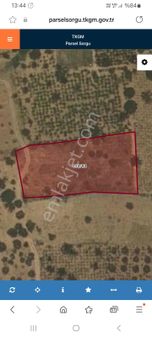 Şarköyde Bağ Acil Satılık