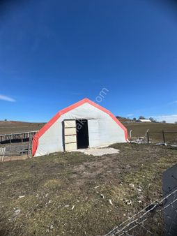 Ayaş Evci De Besi Çiftliği